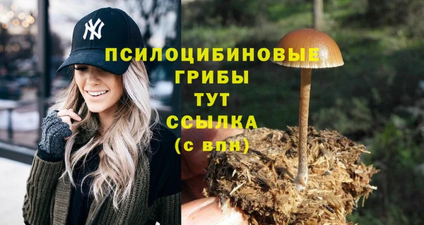 каннабис Абдулино