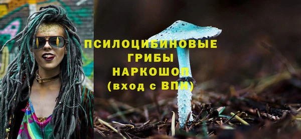 ПСИЛОЦИБИНОВЫЕ ГРИБЫ Алексеевка