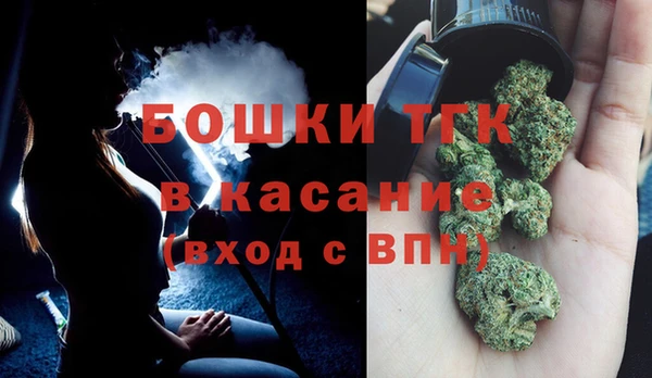 PSILOCYBIN Алзамай