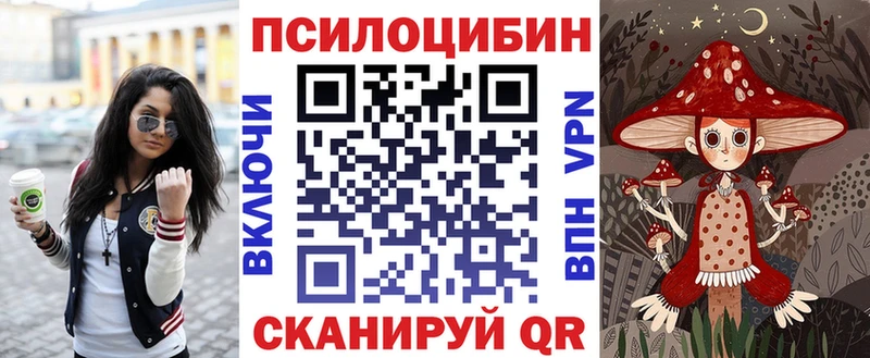 darknet телеграм  Грязи  Галлюциногенные грибы Psilocybe 