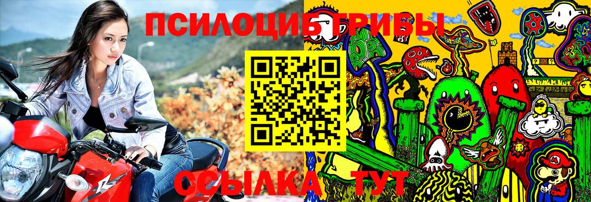 Галлюциногенные грибы прущие грибы  Галлюциногенные грибы MAGIC MUSHROOMS  Вход с VPN  купить закладку  Грязи 