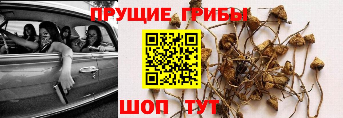 Галлюциногенные грибы мухоморы Грязи